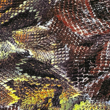 Load image into Gallery viewer, Textured Reptile Print Knit