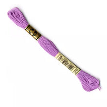 Load image into Gallery viewer, DMC 117 6 Strand Cotton Embroidery Floss