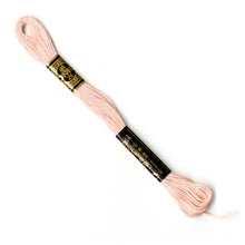 Load image into Gallery viewer, DMC 117 6 Strand Cotton Embroidery Floss