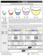 Load image into Gallery viewer, 2024 // GALAXIE 6 - Crossbody Bags