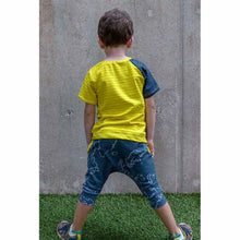 Load image into Gallery viewer, Grunge Raglan T-Shirt Pattern