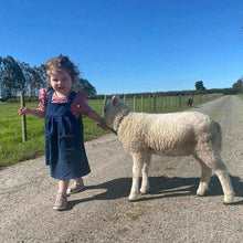 Load image into Gallery viewer, Jazzy Dress & Pinafore Pattern