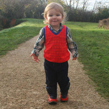 Load image into Gallery viewer, Nordic Fox Vest Pattern