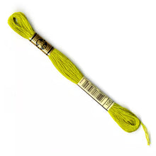 Load image into Gallery viewer, DMC 117 6 Strand Cotton Embroidery Floss
