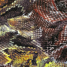 Load image into Gallery viewer, Textured Reptile Print Knit
