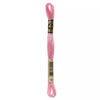 DMC 117 6 Strand Cotton Embroidery Floss