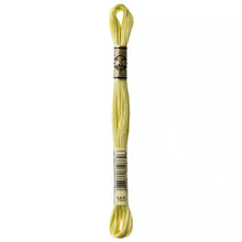 Load image into Gallery viewer, DMC 117 6 Strand Cotton Embroidery Floss
