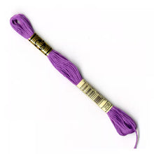 Load image into Gallery viewer, DMC 117 6 Strand Cotton Embroidery Floss
