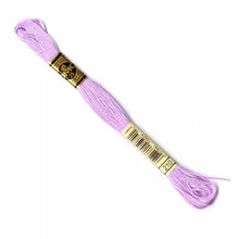 Load image into Gallery viewer, DMC 117 6 Strand Cotton Embroidery Floss
