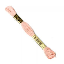 Load image into Gallery viewer, DMC 117 6 Strand Cotton Embroidery Floss
