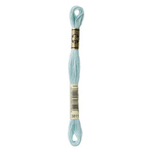 Load image into Gallery viewer, DMC 117 6 Strand Cotton Embroidery Floss
