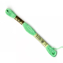 Load image into Gallery viewer, DMC 117 6 Strand Cotton Embroidery Floss
