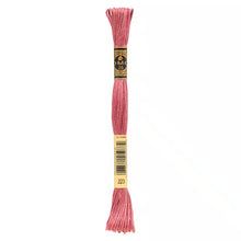 Load image into Gallery viewer, DMC 117 6 Strand Cotton Embroidery Floss
