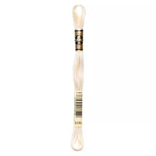 Load image into Gallery viewer, DMC 117 6 Strand Cotton Embroidery Floss
