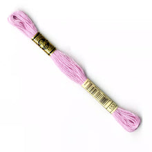 Load image into Gallery viewer, DMC 117 6 Strand Cotton Embroidery Floss
