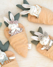 Load image into Gallery viewer, Sewing Pattern for Bunny Stuffed Animal + Carrot Bed
