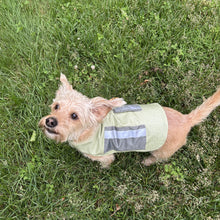 Load image into Gallery viewer, 553 – Warm &amp; Dry Dog Coat Pattern
