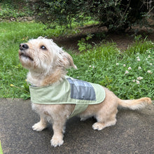 Load image into Gallery viewer, 553 – Warm &amp; Dry Dog Coat Pattern
