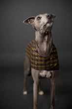 Load image into Gallery viewer, BARKA Dog Coat *less than 1m

