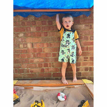 Load image into Gallery viewer, Fruity Fun Romper Pattern
