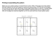 Load image into Gallery viewer, Throw Pillow
