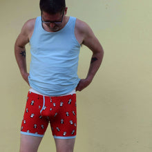 Load image into Gallery viewer, Brief underpants pattern Wardrobe By Me
