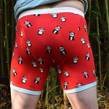 Load image into Gallery viewer, Brief underpants pattern Wardrobe By Me
